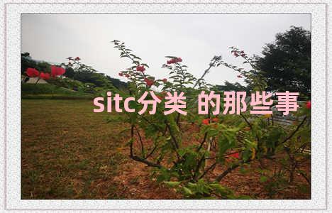 sitc分类 的那些事